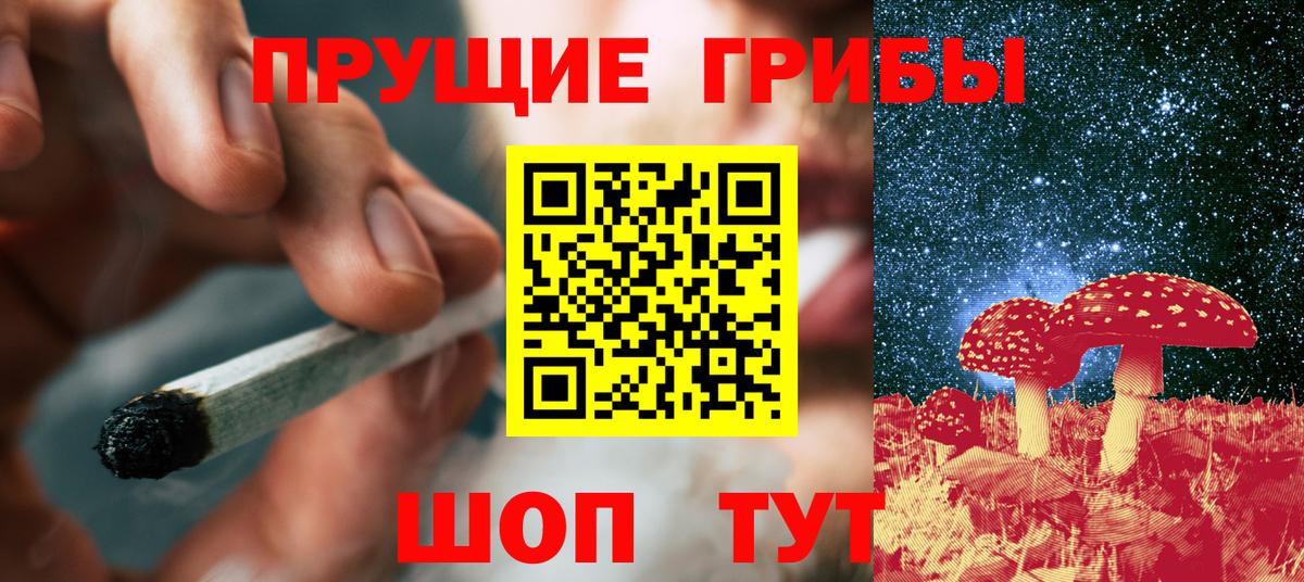 Лесозаводск  Галлюциногенные грибы GOLDEN TEACHER  Вход с VPN  где купить наркоту  Галлюциногенные грибы Cubensis 